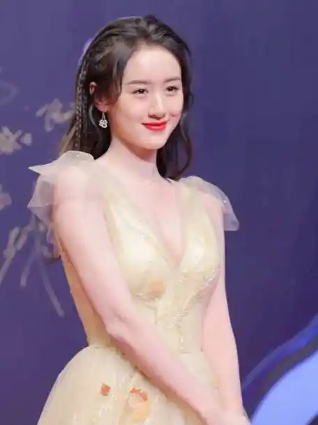 袁冰妍逃税公司注销##明星##娱乐评论大赏