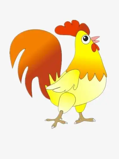 卡通鸡  卡通公鸡 鸡冠  叫起床 鸡年