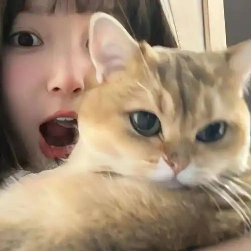 头像微信头像好看到爆