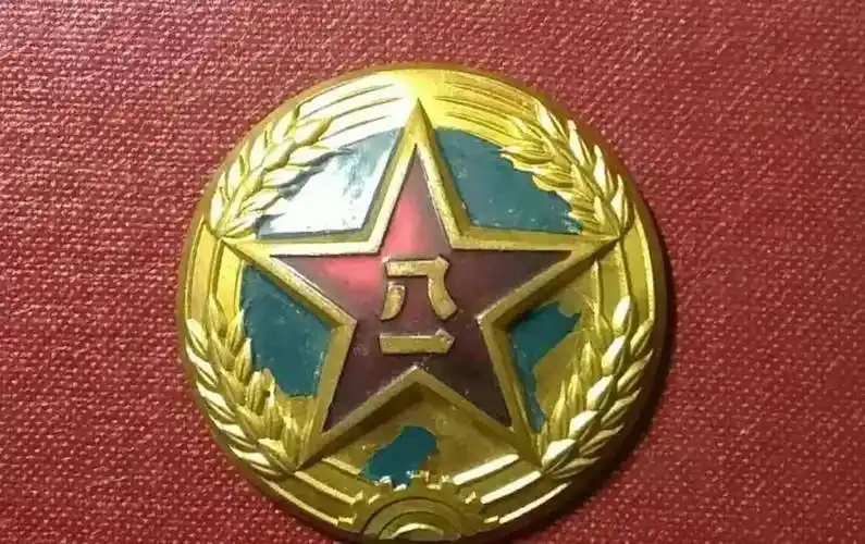 二,55式公安军帽徽:50式正规公安部队帽徽及地方公安部队帽徽,自1950