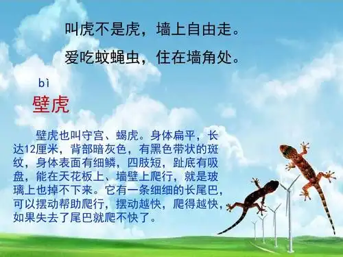 部编版人教版课件一年级语文下册部编教材一下21《小壁虎借尾巴》课件