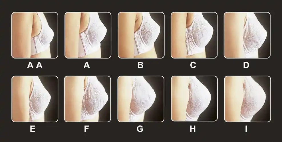 罩杯越大越好?别犯傻了,这样的才更好看!