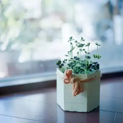 简约唯美小清新的qq头像 愿时_风景静物头像_我要个性网