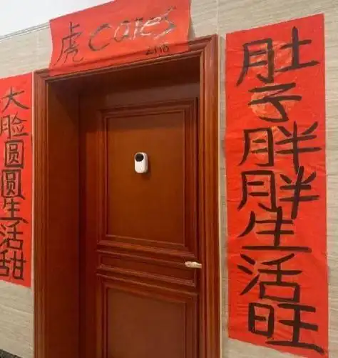 盘点那些"奇葩"的春联,没有最搞笑,只有更搞笑|对联|上联|下联|桃符