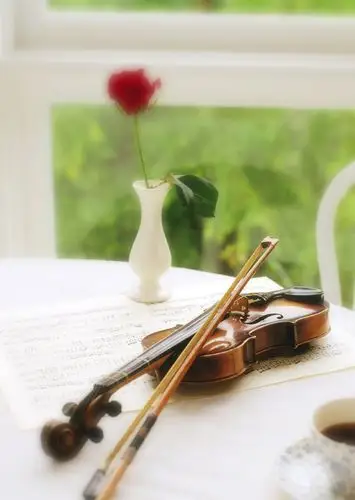 小提琴摄影