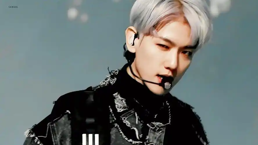 obsession 边伯贤!太太太太太太太太太迷人了!