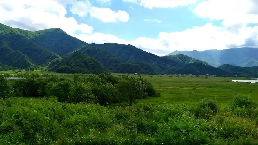 神农架原始森林(三)