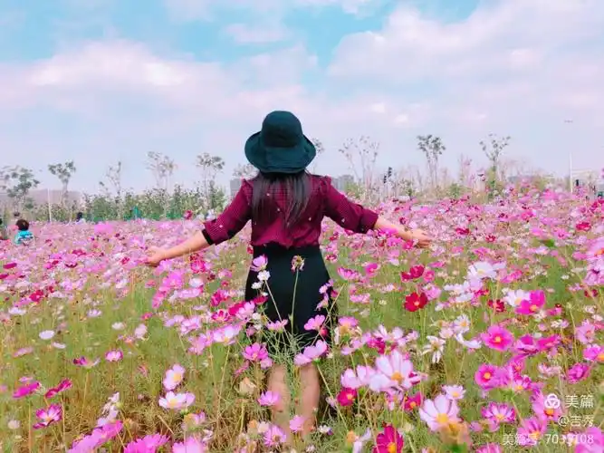 背影是那么年轻