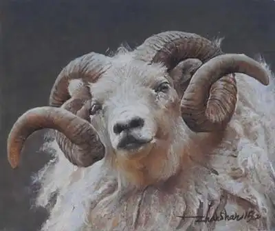 寇占山原创油画作品《羊》