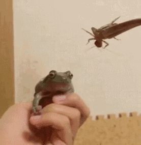 【今日爆笑动态图】王源也太好笑了吧哈哈哈哈哈哈哈哈哈哈哈