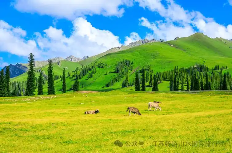 山水暑期推荐——新疆篇_伊犁_草原_时间