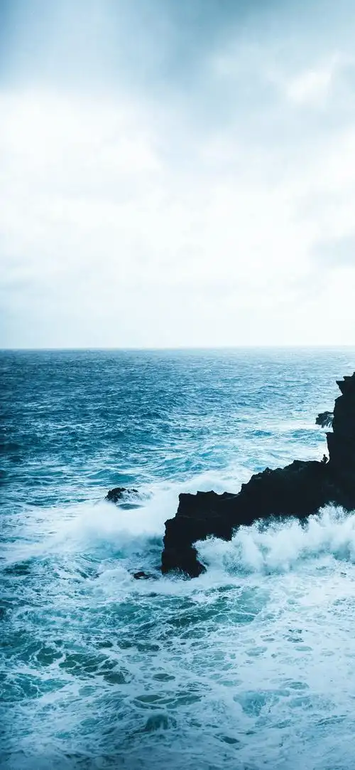 格式:jpg热门壁纸标签l英雄联盟鬼刀不知火舞不良人极简主义2340x1080