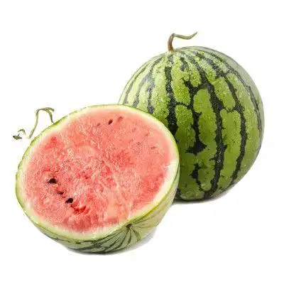 南汇8424西瓜 7斤以上