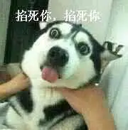 我特么掐死你们两个qq表情包gif动态图表情