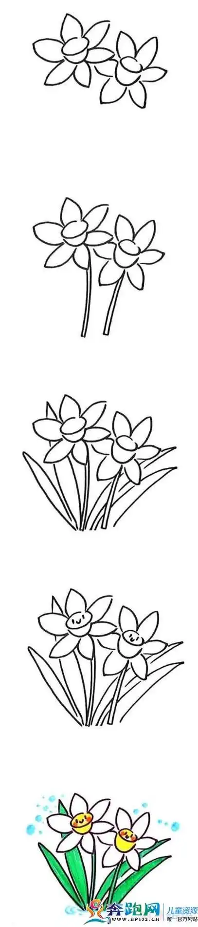 水仙花简笔画彩色视频