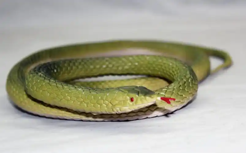 【创意整盅高仿真蛇玩具 整人吓人搞怪蛇愚人节玩具礼品1.25米大蛇】