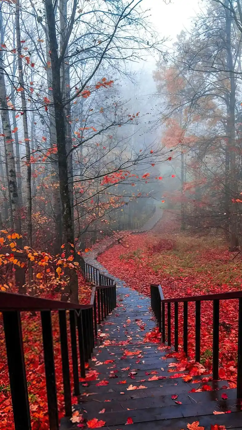 高清无水印图片壁纸