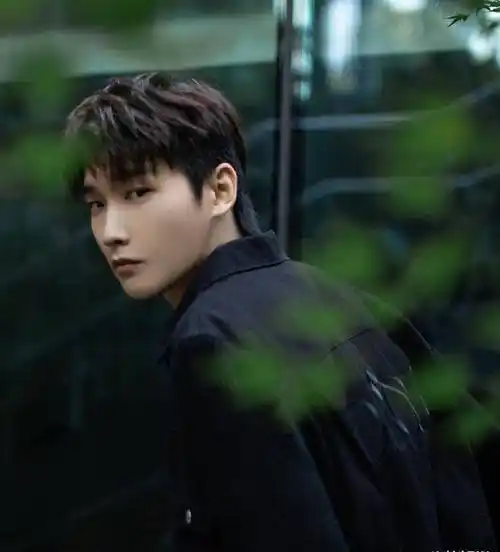 邢昭林恋情引热议,千万粉丝被质疑是买来的_时候_明星_网友