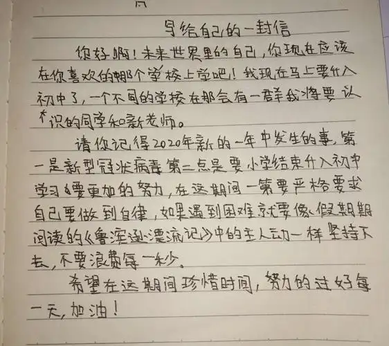 2020疫情延学期真情告白《给自己的一封信》