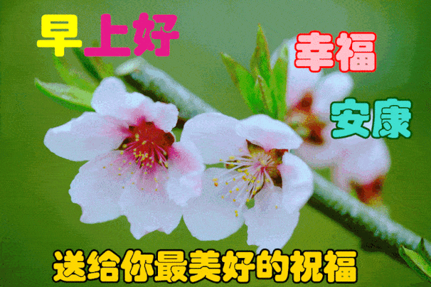 早上好问候美图早安问候语句