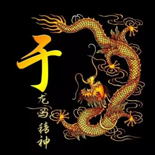 龙的传人,龙马精神,姓氏头像