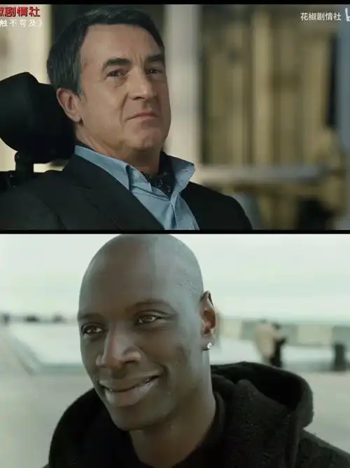 好剧推荐触不可及法版