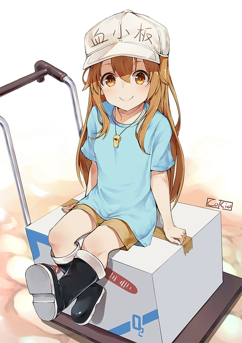 工作细胞血小板