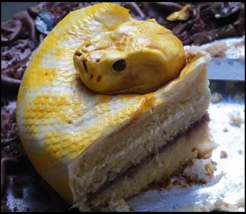 重口味恐怖美食有胆你就来盘点各国黑暗料理