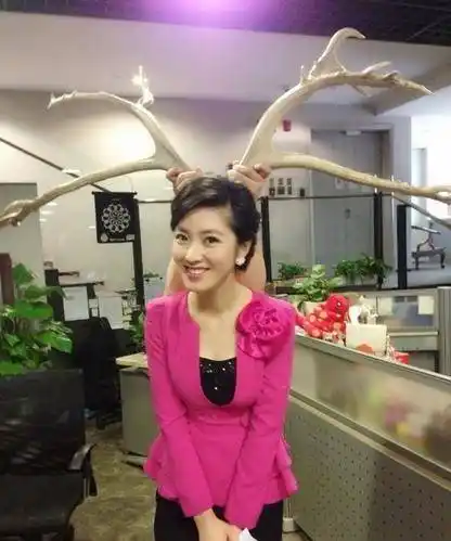 的前女友,何卿近照,散发着时尚的气息和高雅的气质_东方_卫视_上海