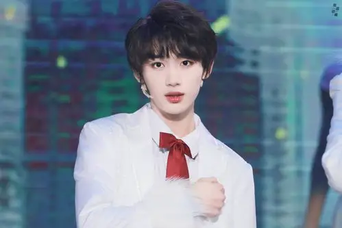 丁程鑫 v5 演唱会 - 堆糖,美图壁纸兴趣社区