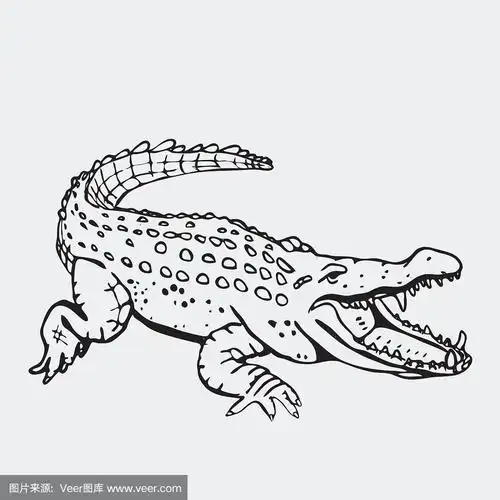 手绘的铅笔图形鳄鱼