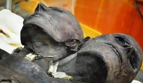 5米高的双头巨人木乃伊竟真实存在