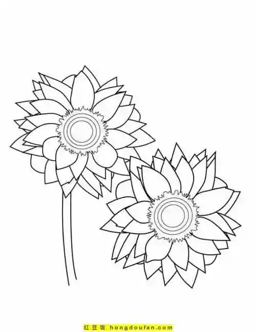 有趣的太阳花向日葵圆圆的脸庞卡通涂色图片-红豆饭小学生简笔画大全