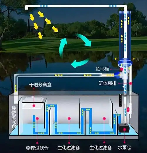 探讨鱼缸的过滤系统以及硝化细菌是否需要每次换水都添加