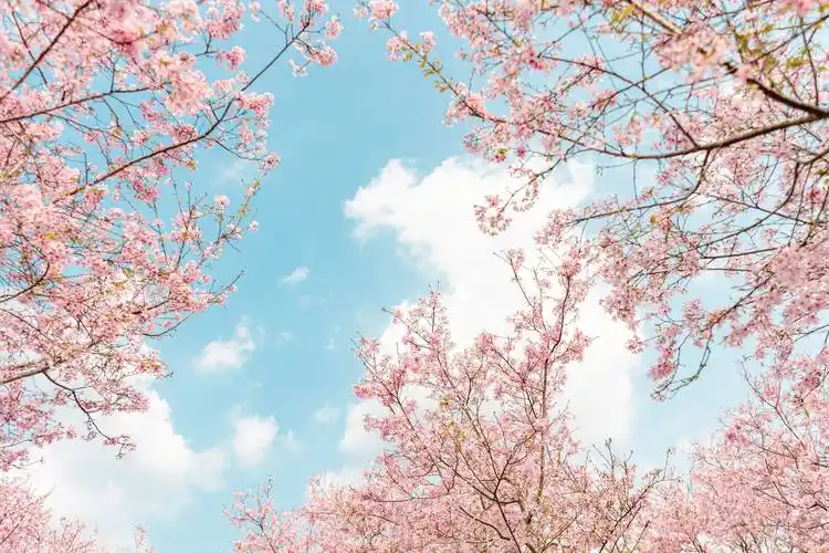 背景 壁纸 5472_3648