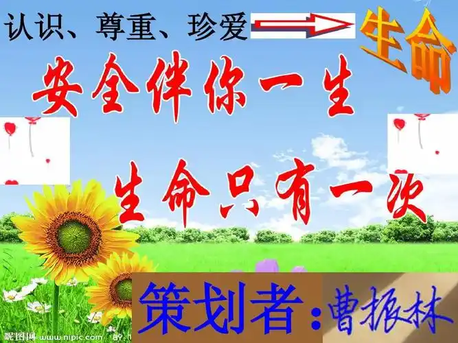 认识生命,尊重生命,珍爱生命活动ppt