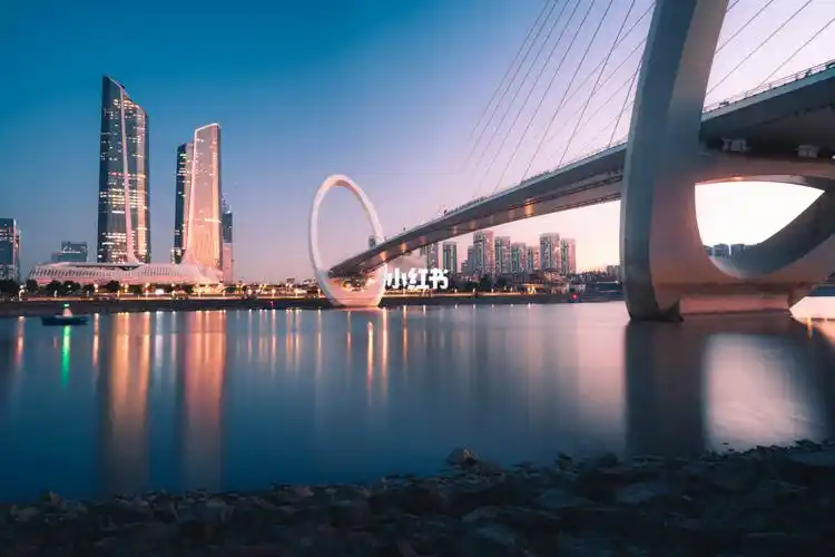 南京bridge late night 🏙️