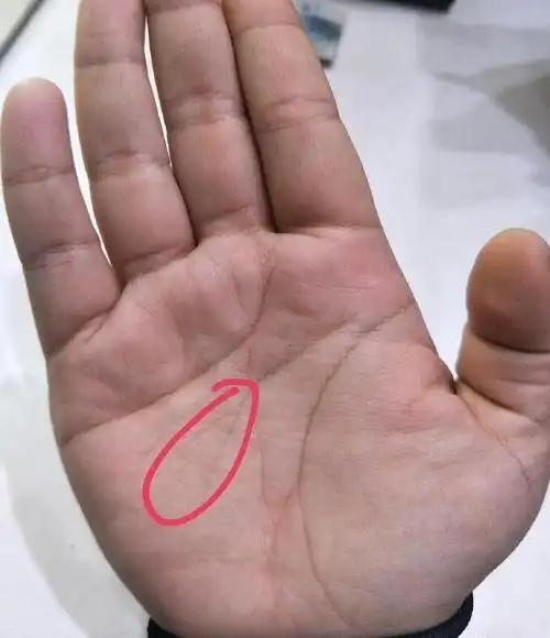 手握"此纹"必定大富大贵,天生富贵的4大手相