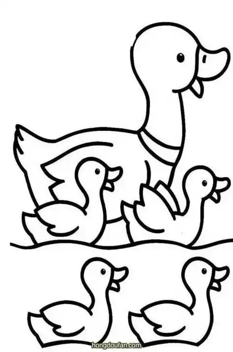 小鸭子鸭妈妈简笔画
