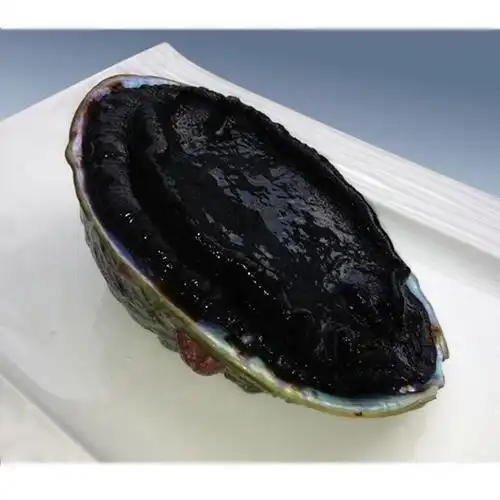 新西兰黑金鲍大头鲍活冻刺身清蒸进口鲍鱼约300-800克/个 450 -30