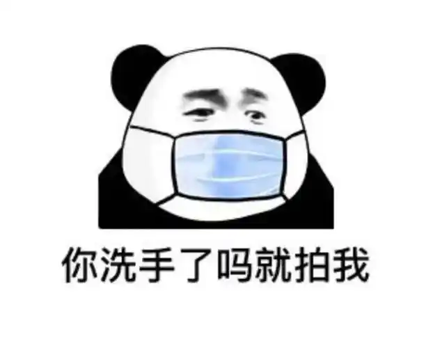 你洗手了吗?就拍我拍一拍熊猫头沙雕表情