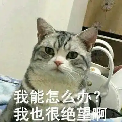我能怎么办?我也很绝望啊