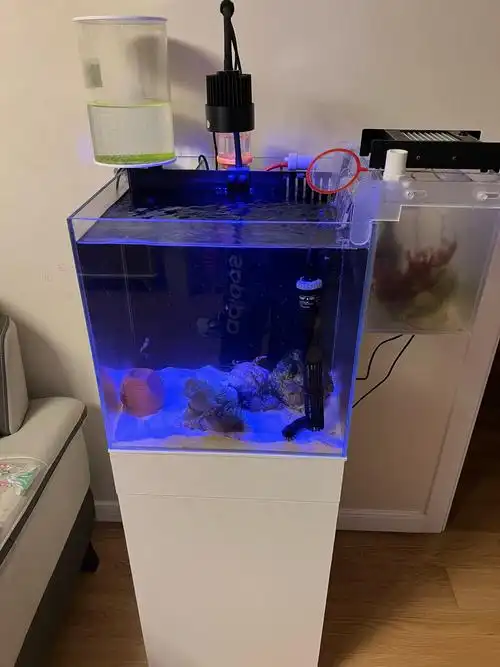 出个40背滤检疫缸