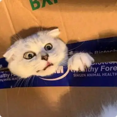 2020超级逗比搞怪头像走一波个性幽默让人过目不忘