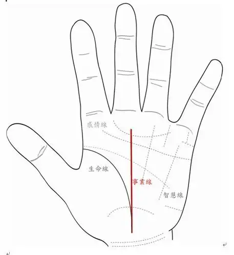 相术 手相 > 手相算命:生命线看健康运势  每个人的手掌上都有着无数