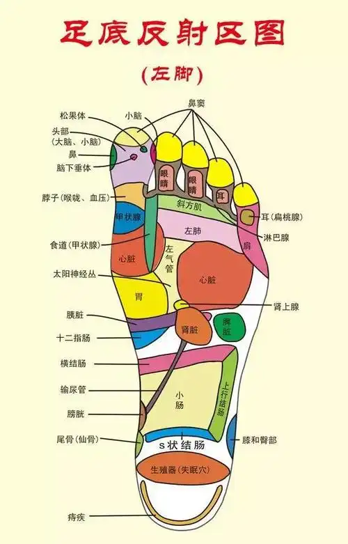木棍擀脚底,减肥显神奇