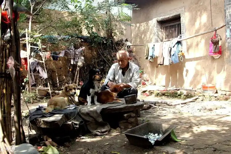 这些农村留守老人的生活张张触动你的心回家了对父母好点