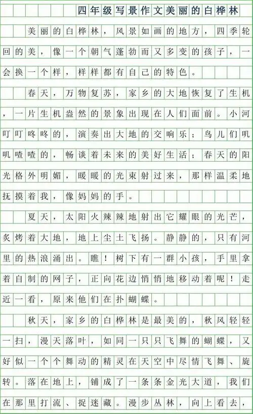 2019年四年级写景作文-美丽的白桦林