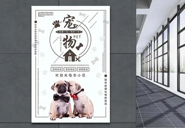 宠物店铺简介海报设计