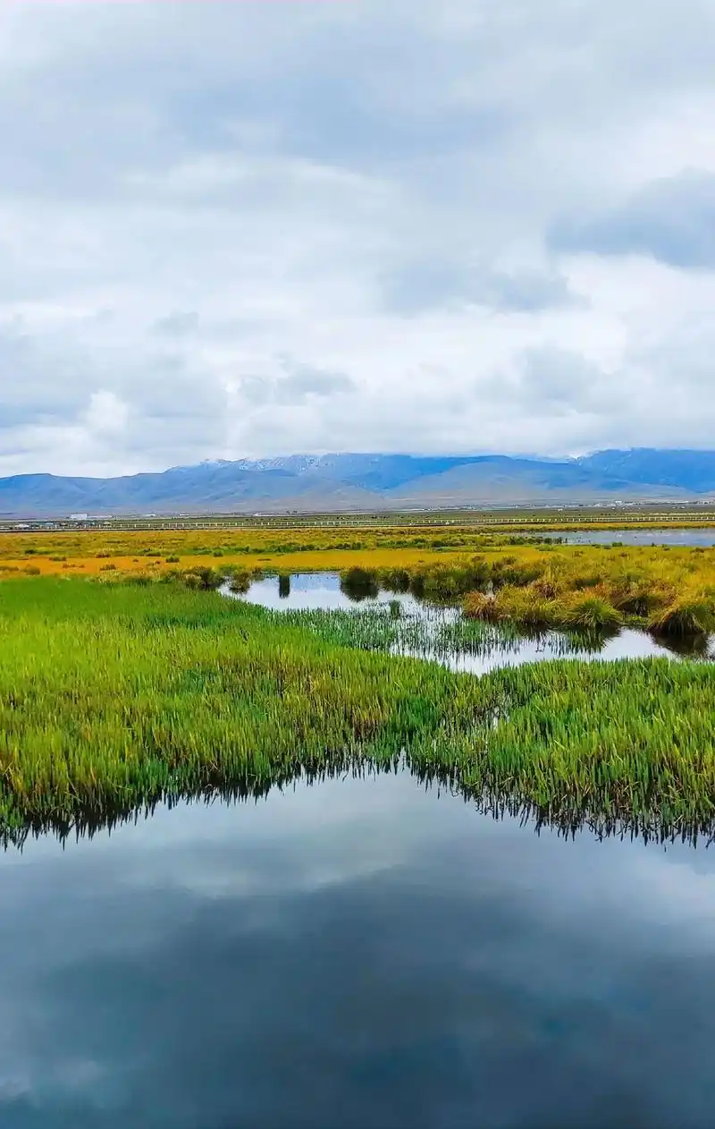 若尔盖花湖是高原湿地生物多样性自然保护区,湖水碧蓝,清澈见底